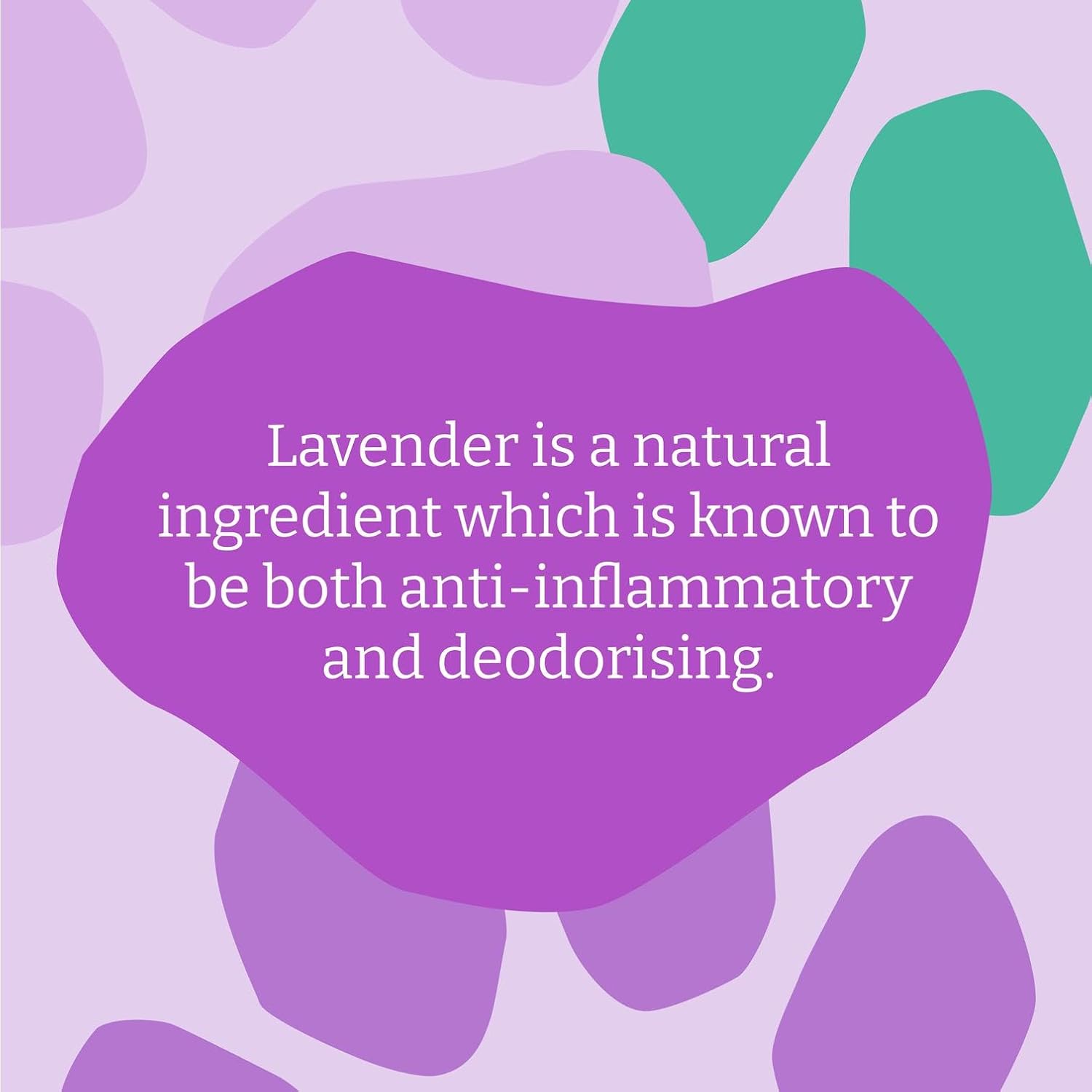 Faith In Nature Natural Lavender Dog Shampoo, Vegan & Cruelty Free, No SLS,Silicones or Parabens, Deep Cleansing, For Dirty Dogs, 5L Refill Pack - Image 6