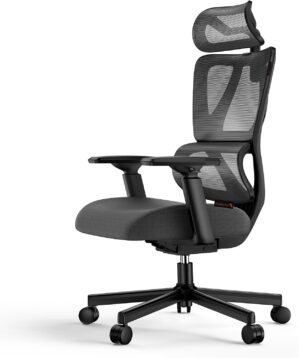 ProtoArc EC100 Ergonomic Office Cha...