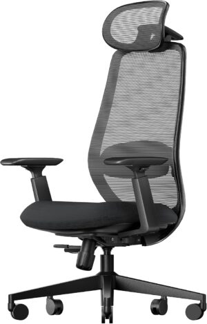 ProtoArc EC200 Ergonomic Office Cha...