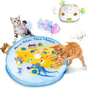 5-in-1 Interactive Cat Toy, Automat...