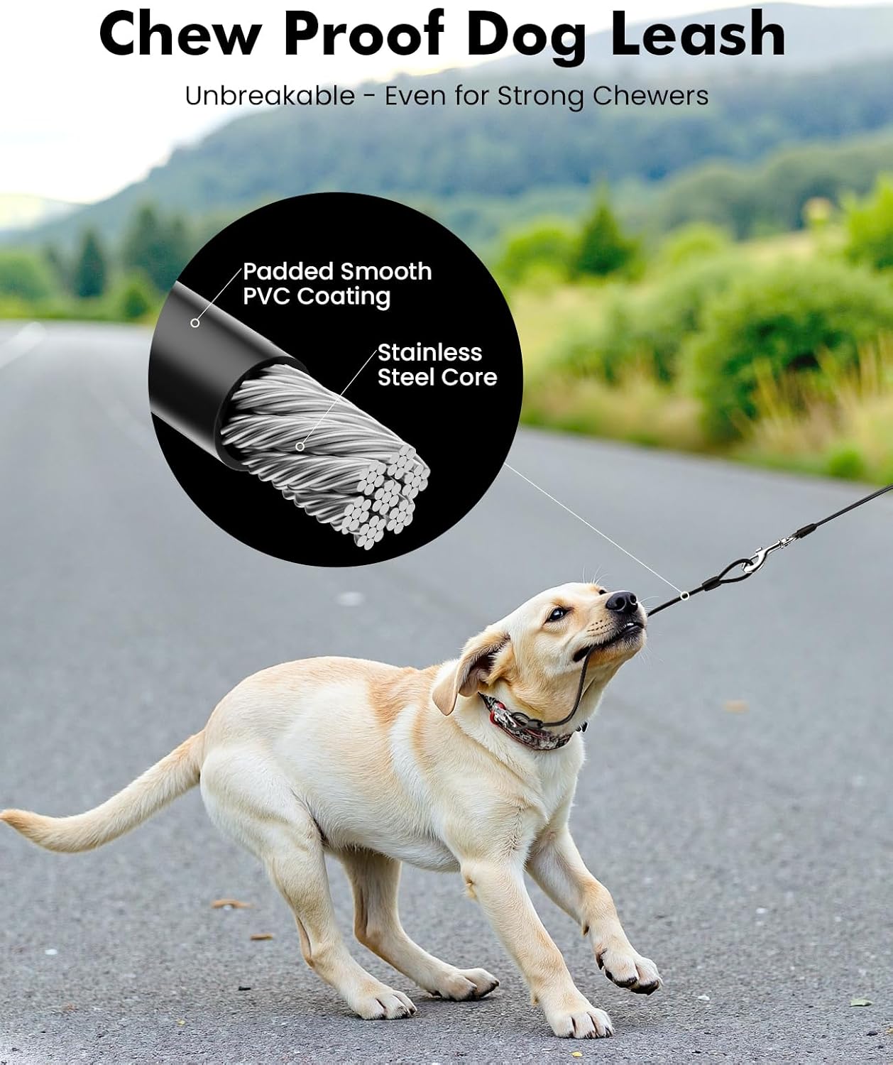 Pecute 8m Retractable Dog Leash with Anti-Chew Steel Cable Up to 50kg Dogs - Image 3