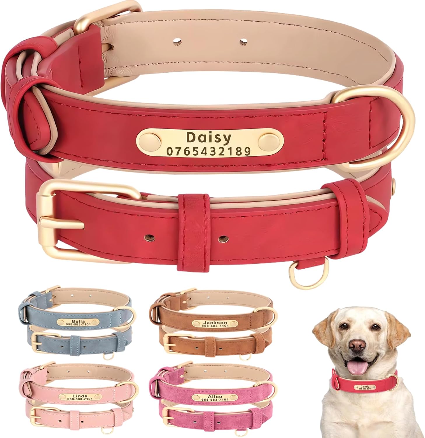 SEOUGEE Personalised Leather Dog Co...