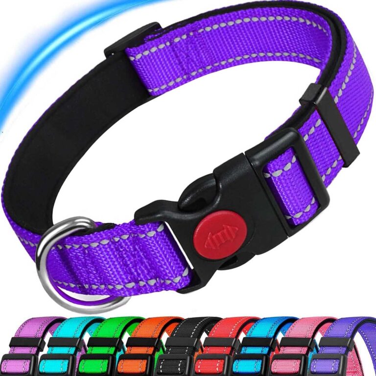 Dog Collars