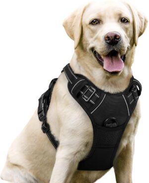 rabbitgoo Dog Harness Large Dog, No...