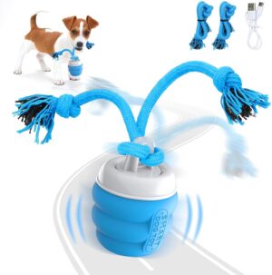Interactive Dog Toys – Smart ...