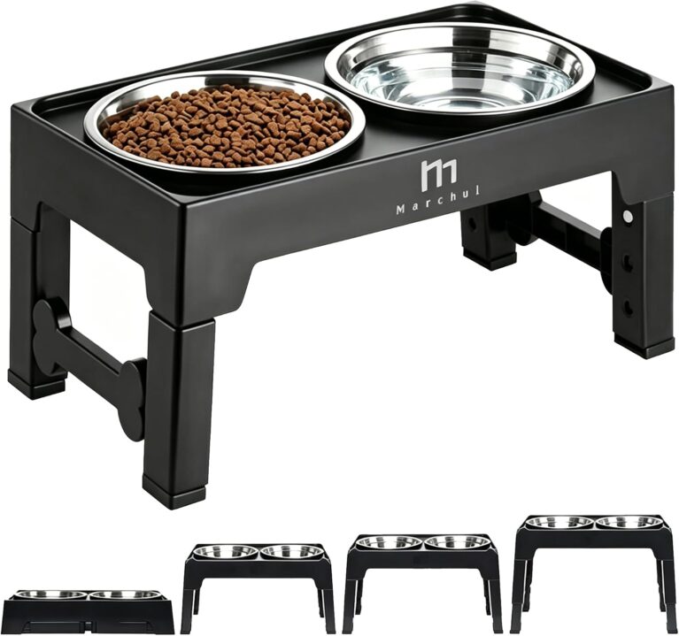 Dog Feeding Bowls