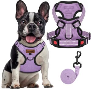 FAYOGOO Dog Harness and Lead Set Fr...