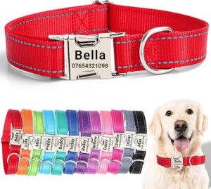 SEOUGEE Personalised Dog Collar wit...