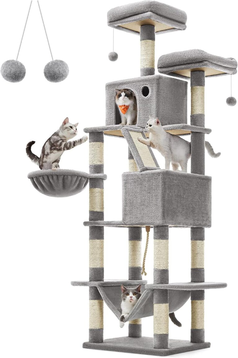 Cat Scratching Posts