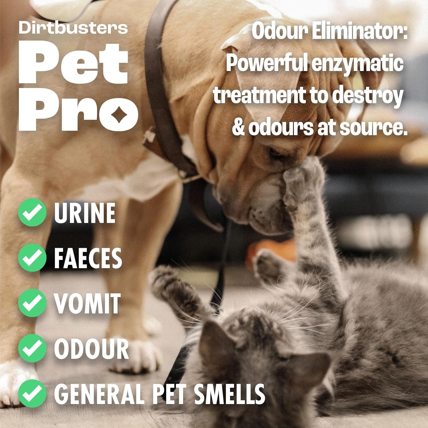 Dirtbusters Pet Pro Stain And Odour Remover Spray, Wild Fig (500ml) - Image 4