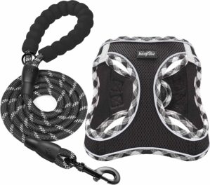 haapaw Dog Harness and Lead Set, No...