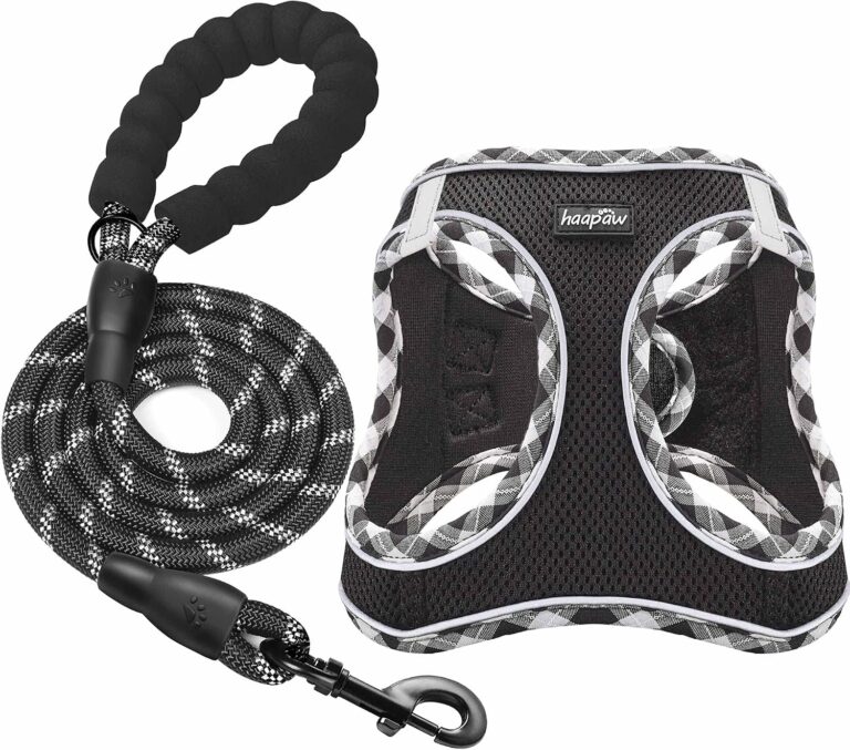 haapaw Dog Harness and Lead Set, No Pull Adjustable Reflective Step-in Puppy Harness with Thickened Padded Vest for Extra-Small/Small Medium Dogs