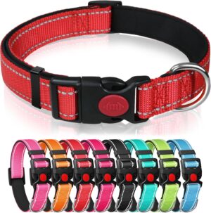 Reflective Nylon Dog Collar with Sa...