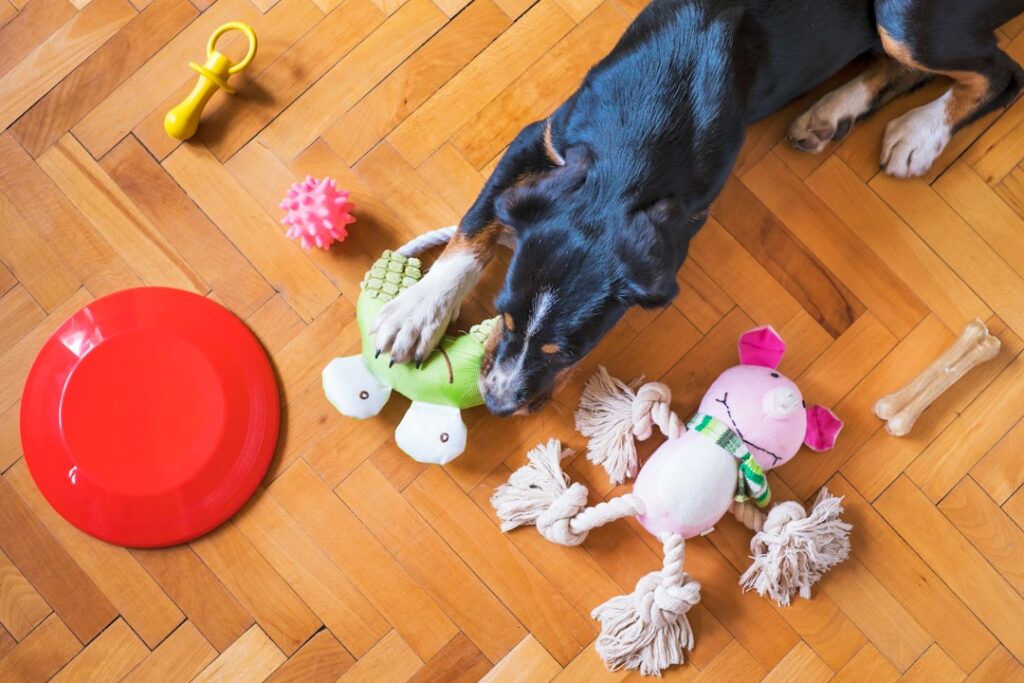How to Choose Safe and Engaging Toys for Your Dog